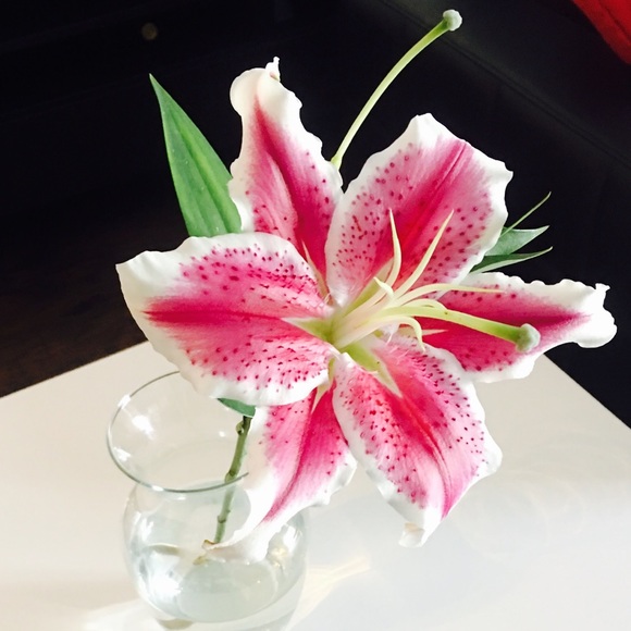 Meet your Posher, T - Picture 1 of 1